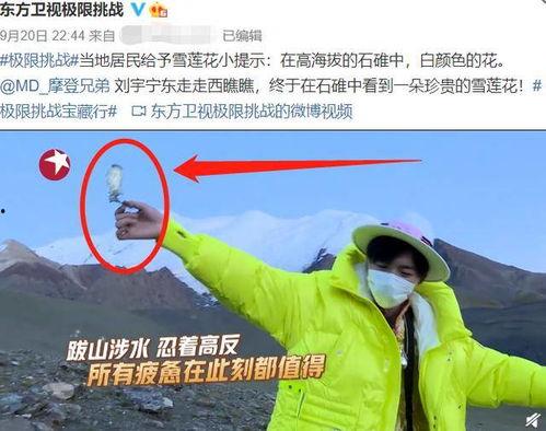 二宁最新爆料新闻事件是什么,揭秘娱乐圈惊人内幕